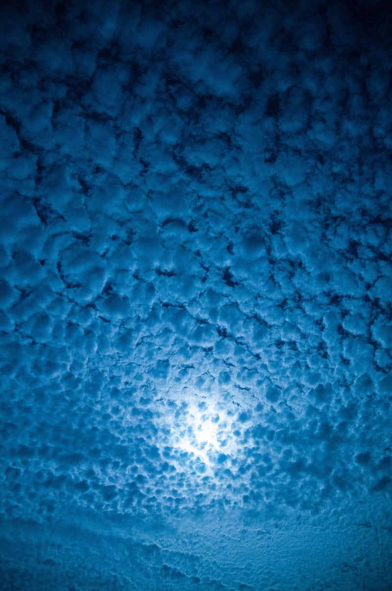 Moonlit Garden
